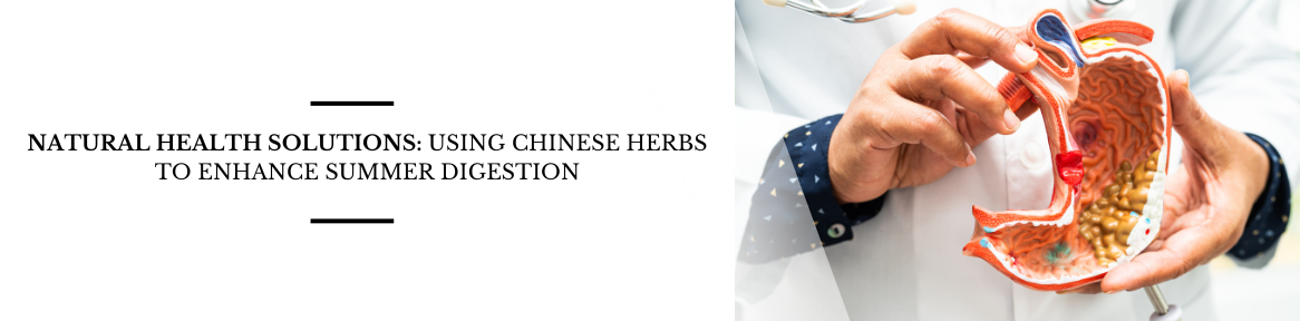 Natural Health Solutions: Using Chinese Herbs to Enhance Summer Digestion